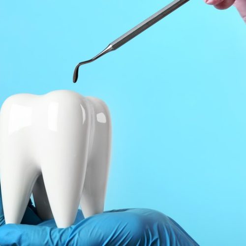 tooth+with+enamel